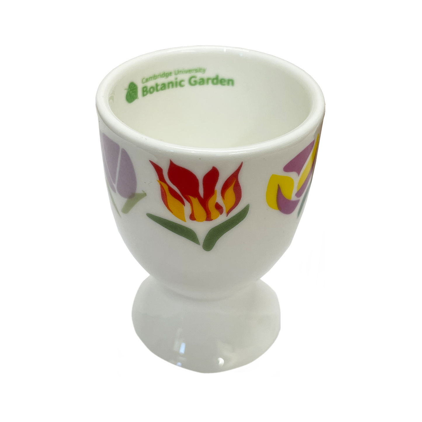 Tulips - Bone china egg cup