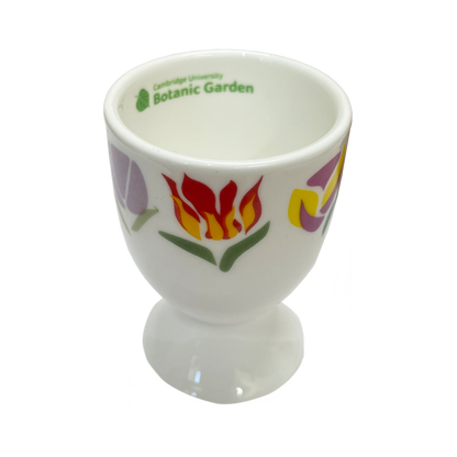 Tulips - Bone china egg cup