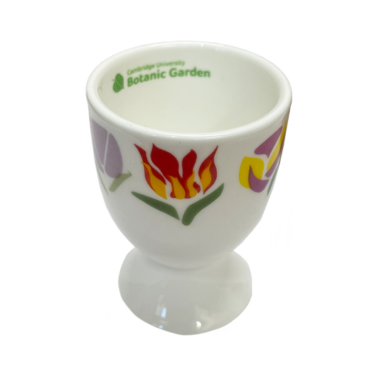 Tulips - Bone china egg cup