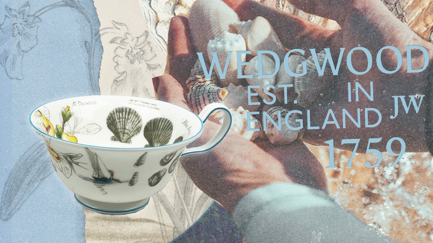 Darwin's Voyage of the Beagle: Patagonia- 3 piece tea set