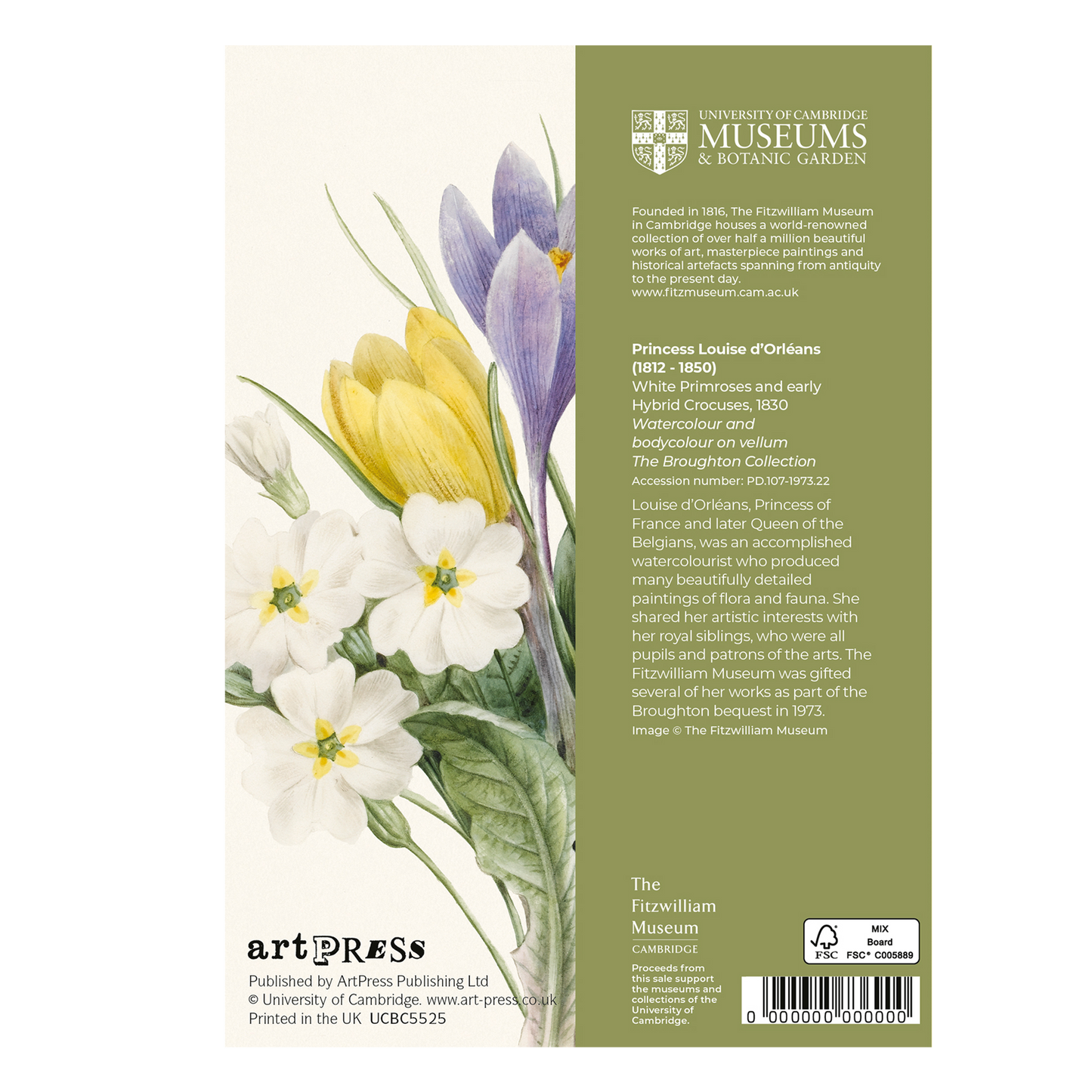 White Primroses and Hybrid Crocuses - Greeting card