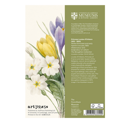 White Primroses and Hybrid Crocuses - Greeting card