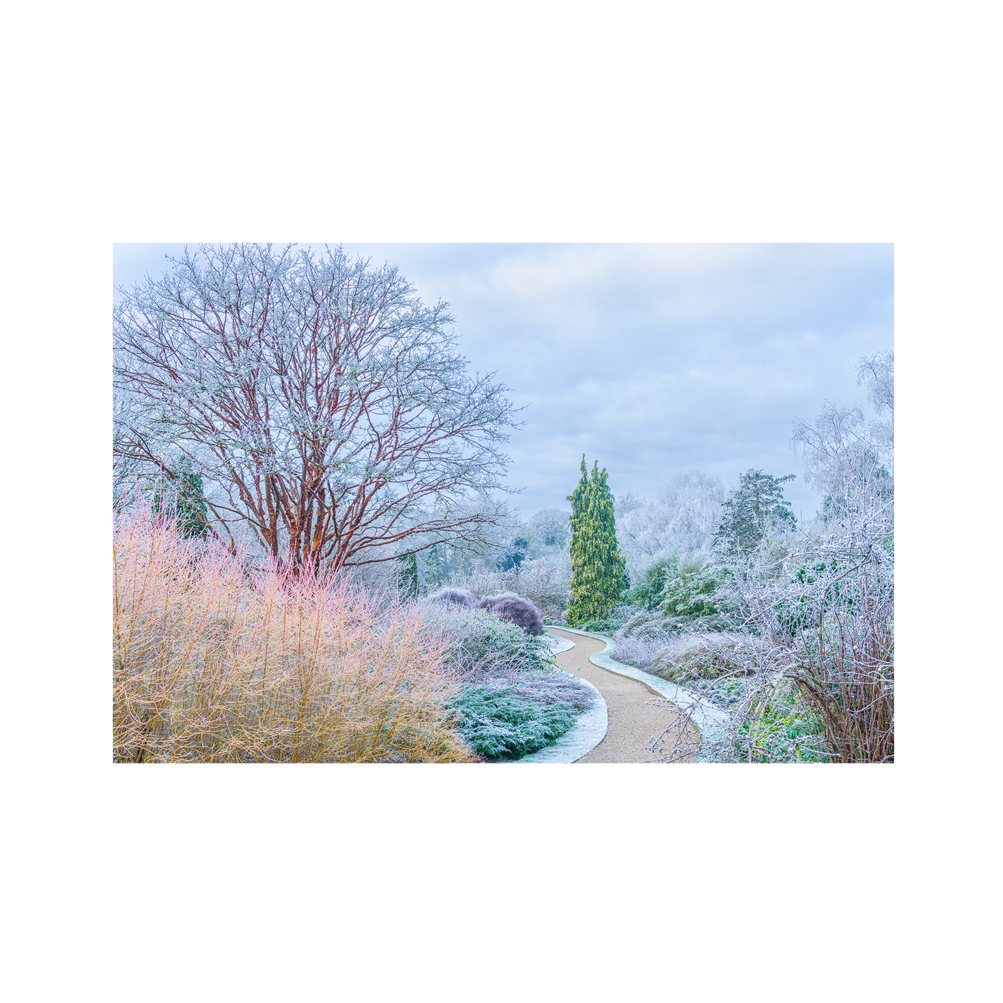 The Winter Garden - 99 pc mini tube jigsaw