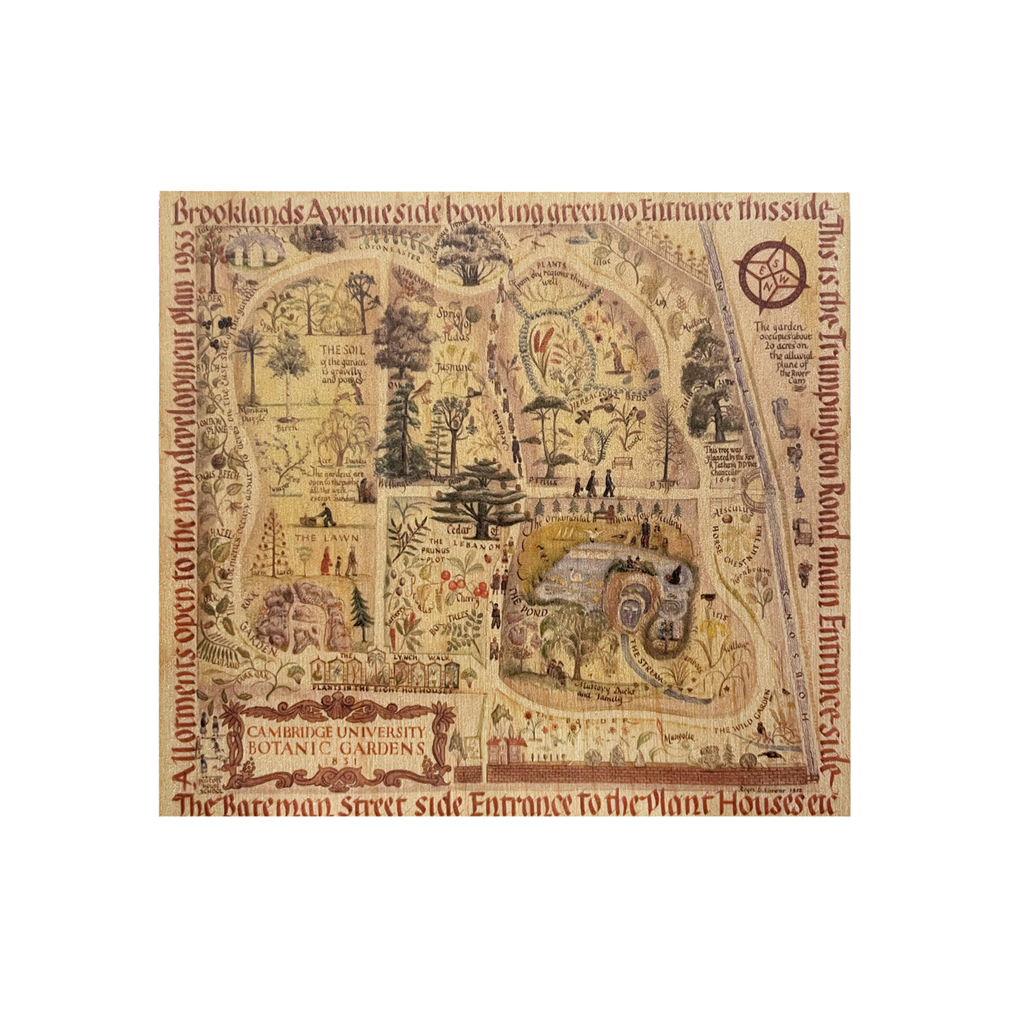 Map of Cambridge University Botanic Garden - Wooden postcard