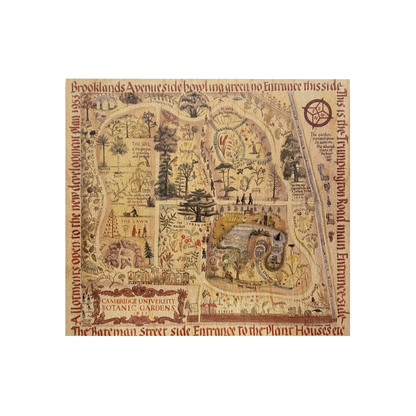 Map of Cambridge University Botanic Garden - Wooden postcard