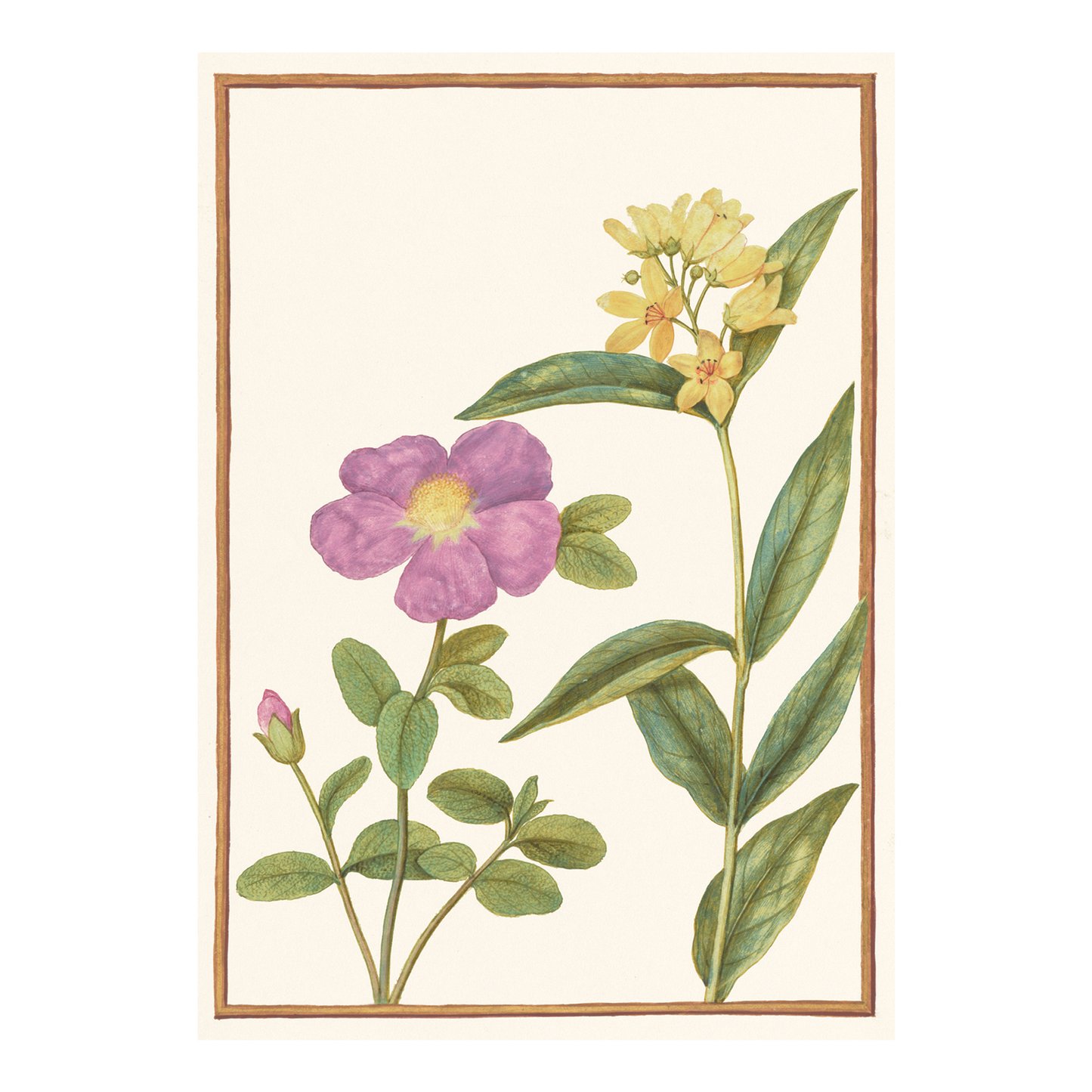 Flowers with Yellow Loosestrife - Greeting card