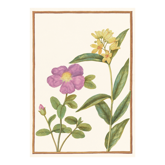Flowers with Yellow Loosestrife - Greeting card