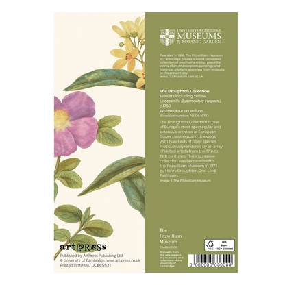 Flowers with Yellow Loosestrife - Greeting card