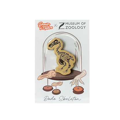 Dodo Skeleton - Enamel brooch