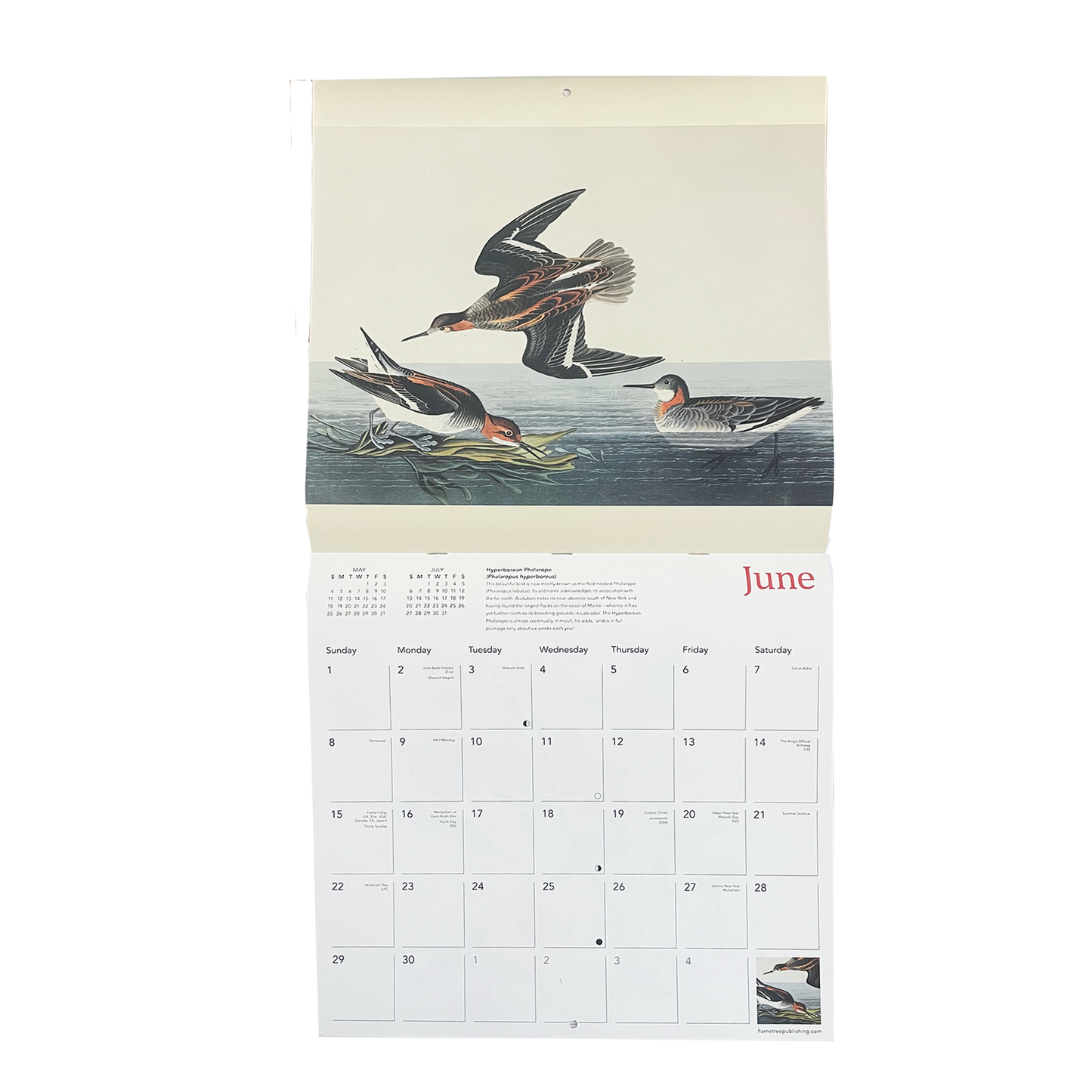 Audubon's Birds - 2025 wall calendar