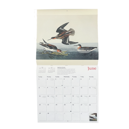 Audubon's Birds - 2025 wall calendar