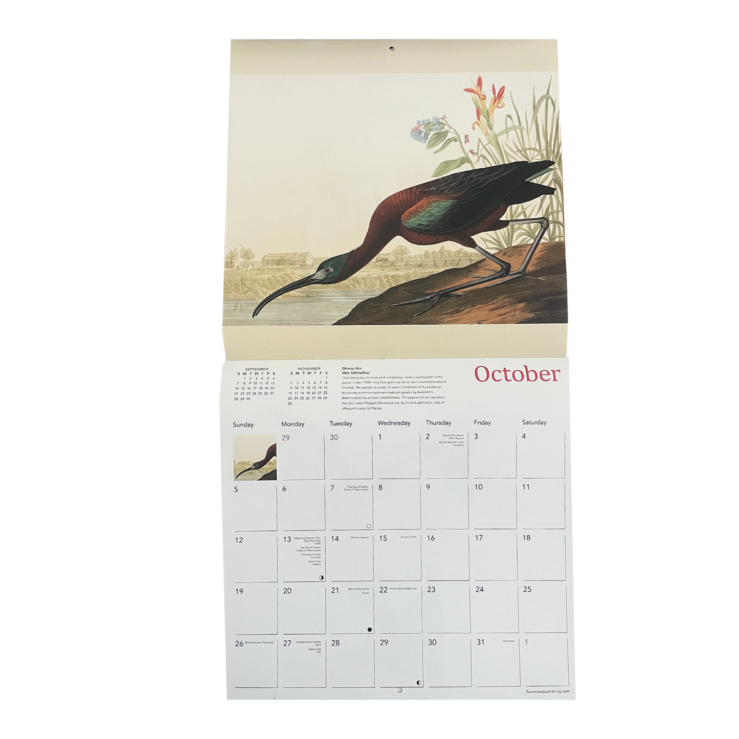 Audubon's Birds - 2025 wall calendar