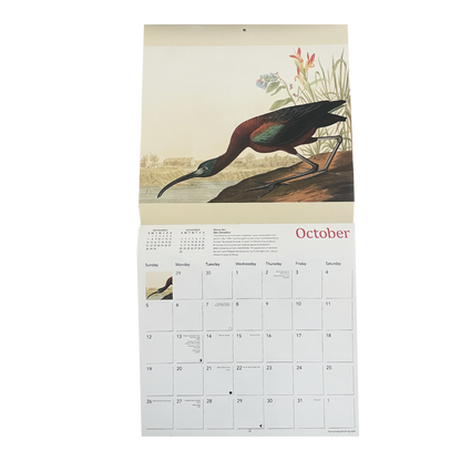 Audubon's Birds - 2025 wall calendar