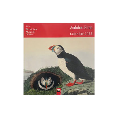 Audubon's Birds - 2025 wall calendar