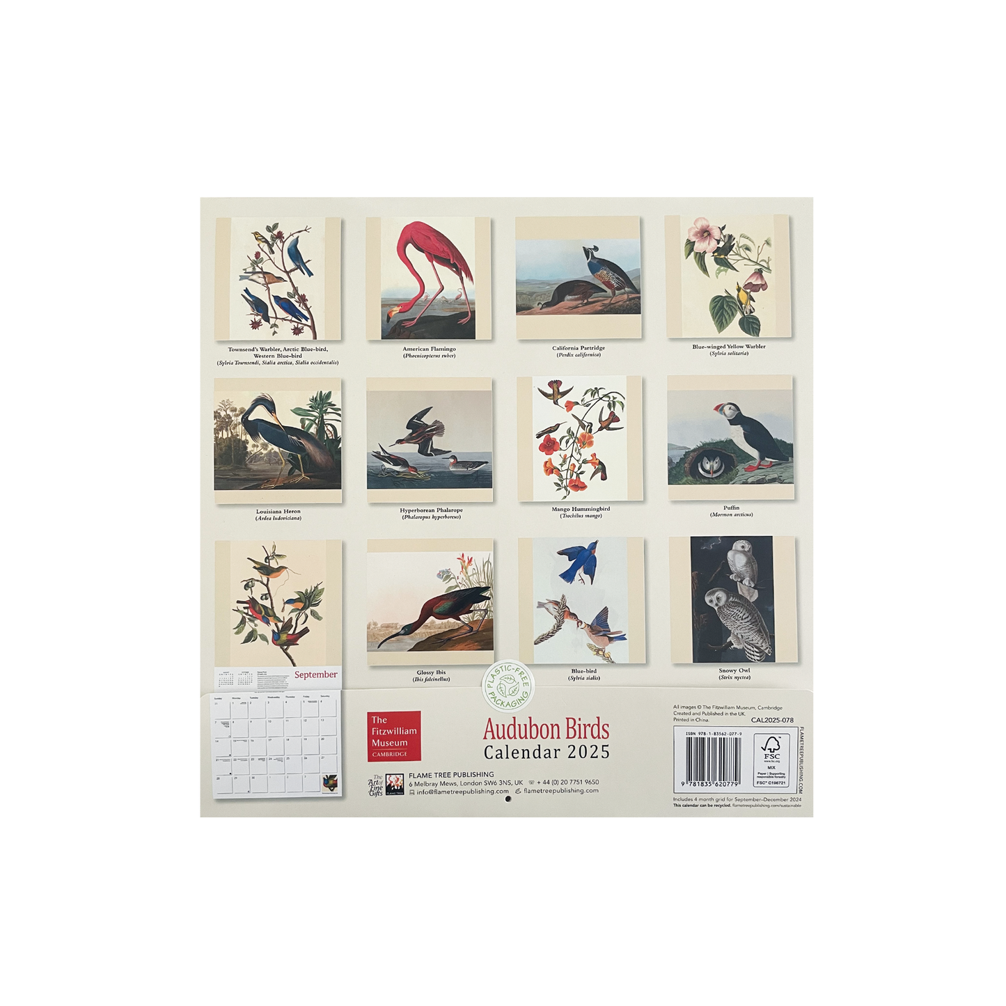 Audubon's Birds - 2025 wall calendar