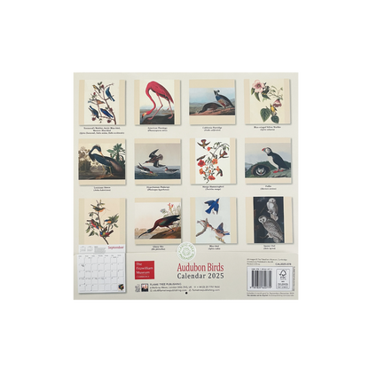 Audubon's Birds - 2025 wall calendar