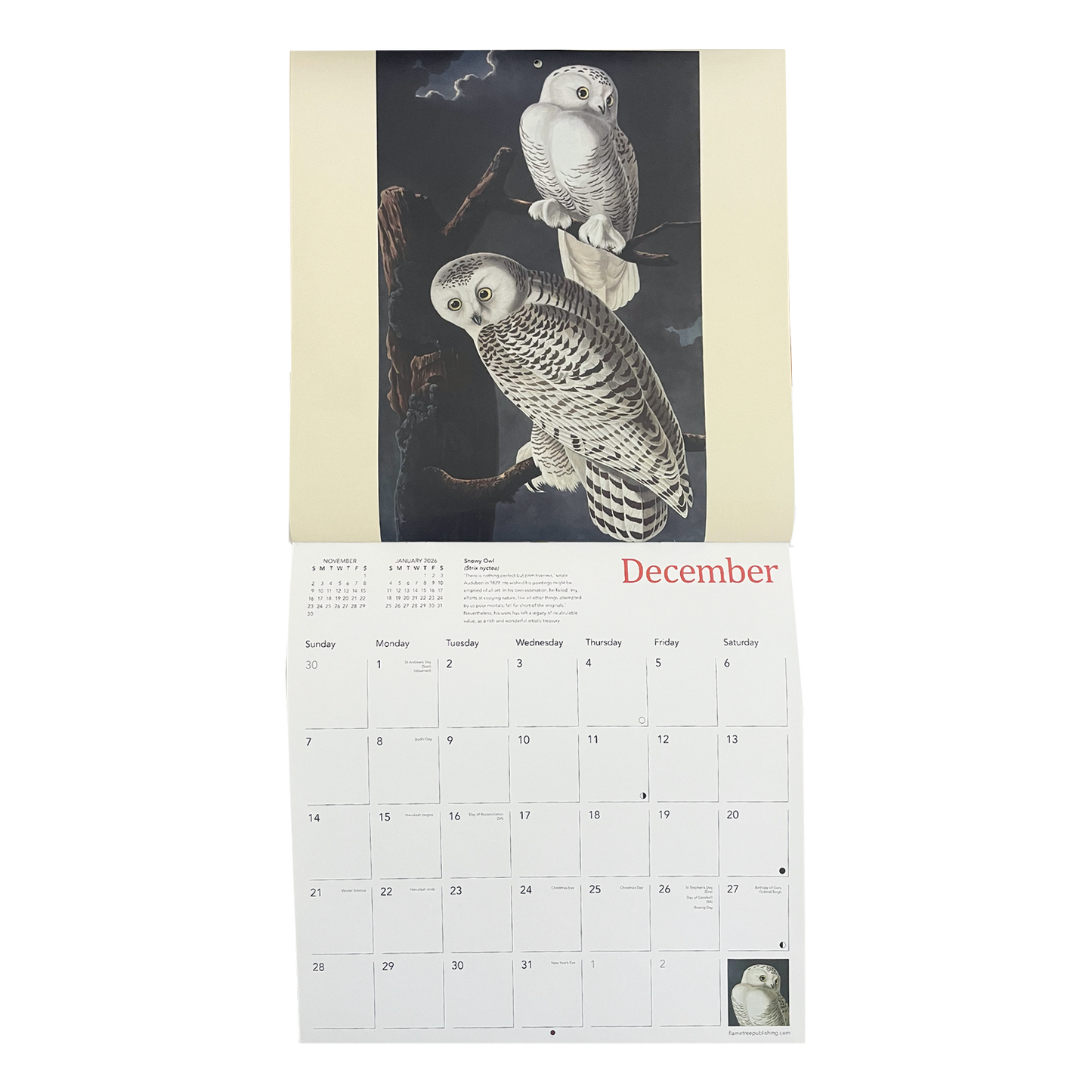 Audubon's Birds - 2025 wall calendar