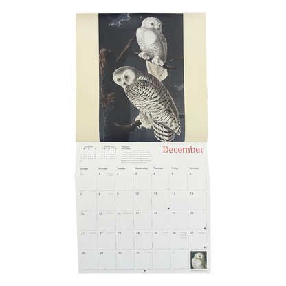 Audubon's Birds - 2025 wall calendar