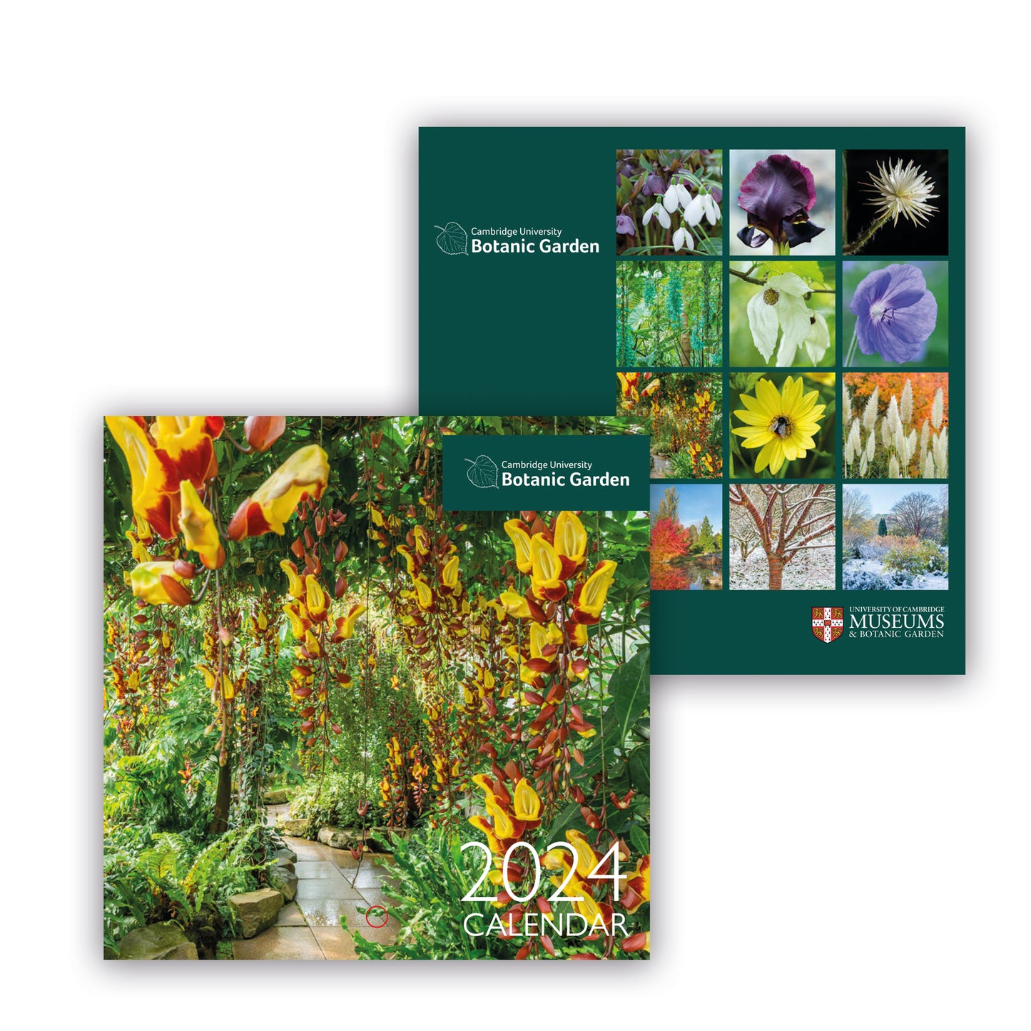 Cambridge University Botanic Gardens Mini 2024 Calendar, Front and Back. 