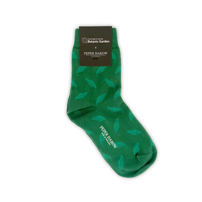 Green Leaves - Women's socks Curating Cambridge Green Leaves - Women's socks Curating Cambridge