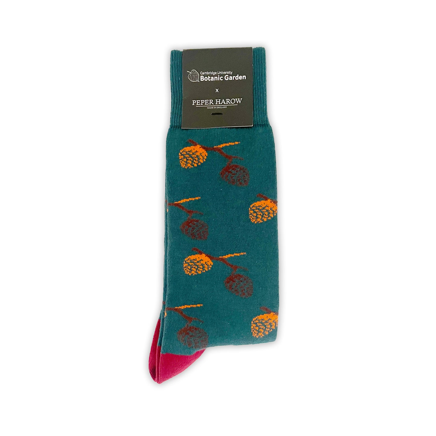 Pine Cones -  Men's socks
