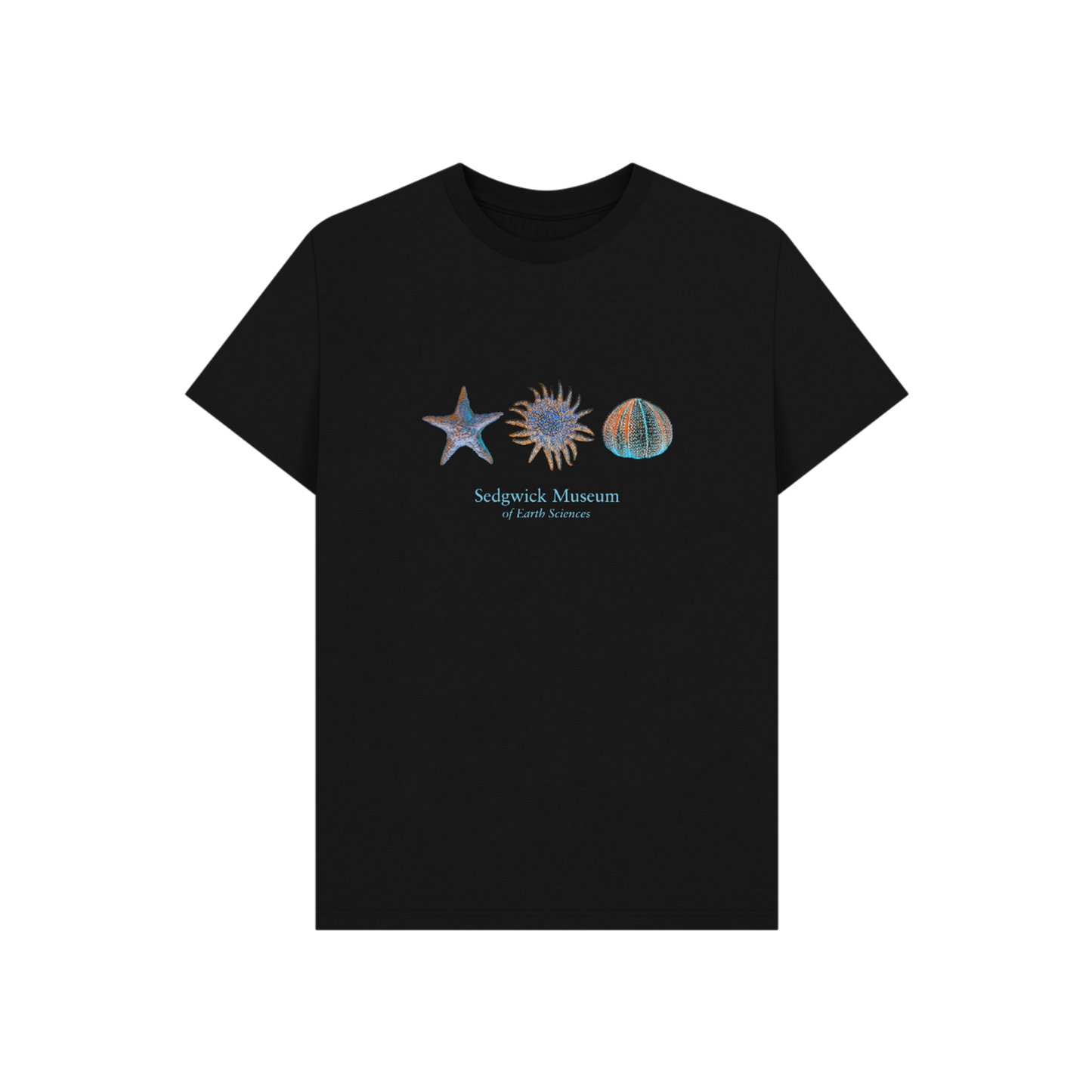Marine Creatures on Black - T-shirt