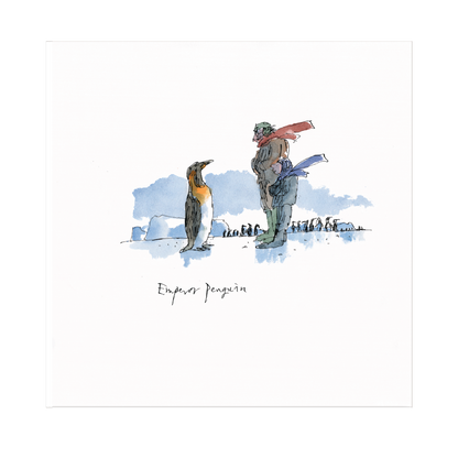 Emperor Penguin by Quentin Blake  - Christmas card pack