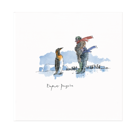 Emperor Penguin by Quentin Blake  - Christmas card pack