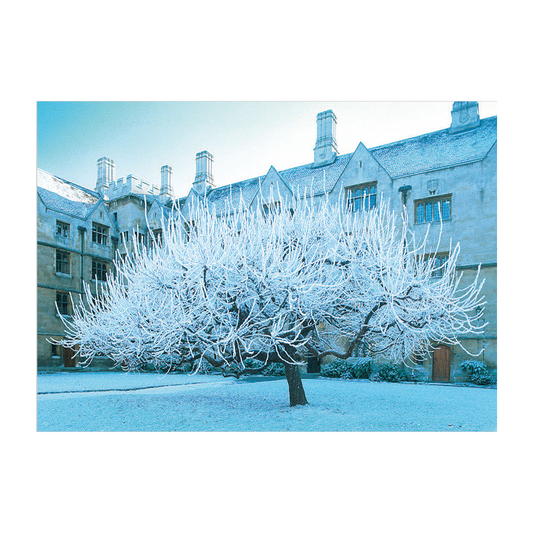 Frozen Mulberry, Bodley's Court, King's College - Greeting card