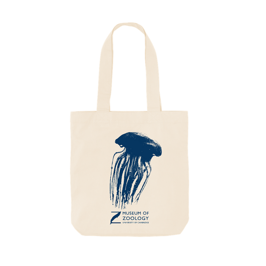 Jellyfish - Tote bag
