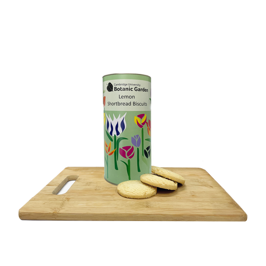 Botanic Garden Tulips Biscuit Drum - Lemon crisp