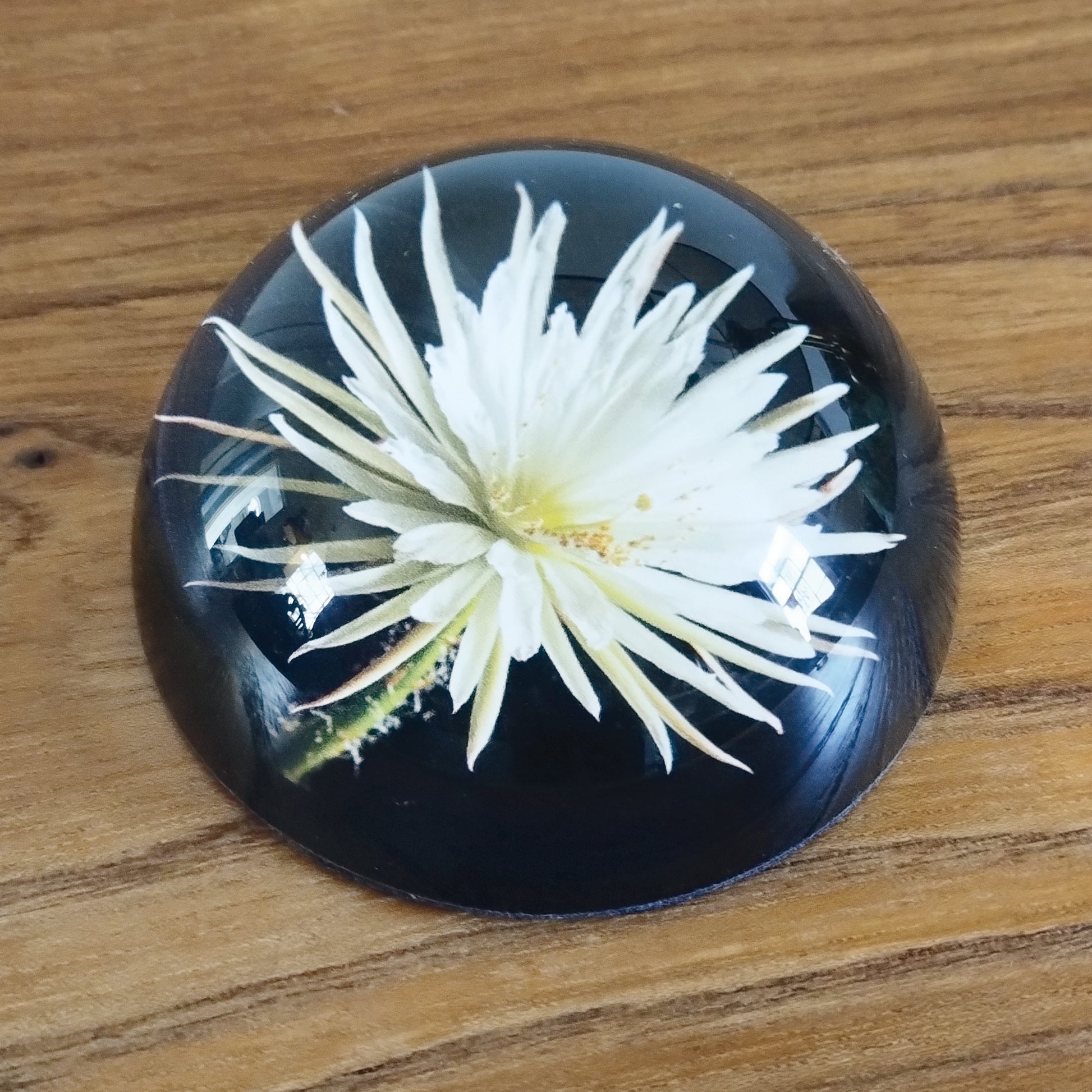 glass moonflower paperweight