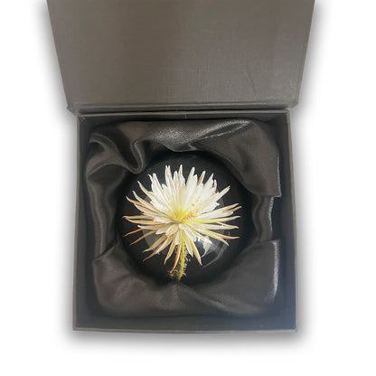 glass paperweight with moonflower in presentation box