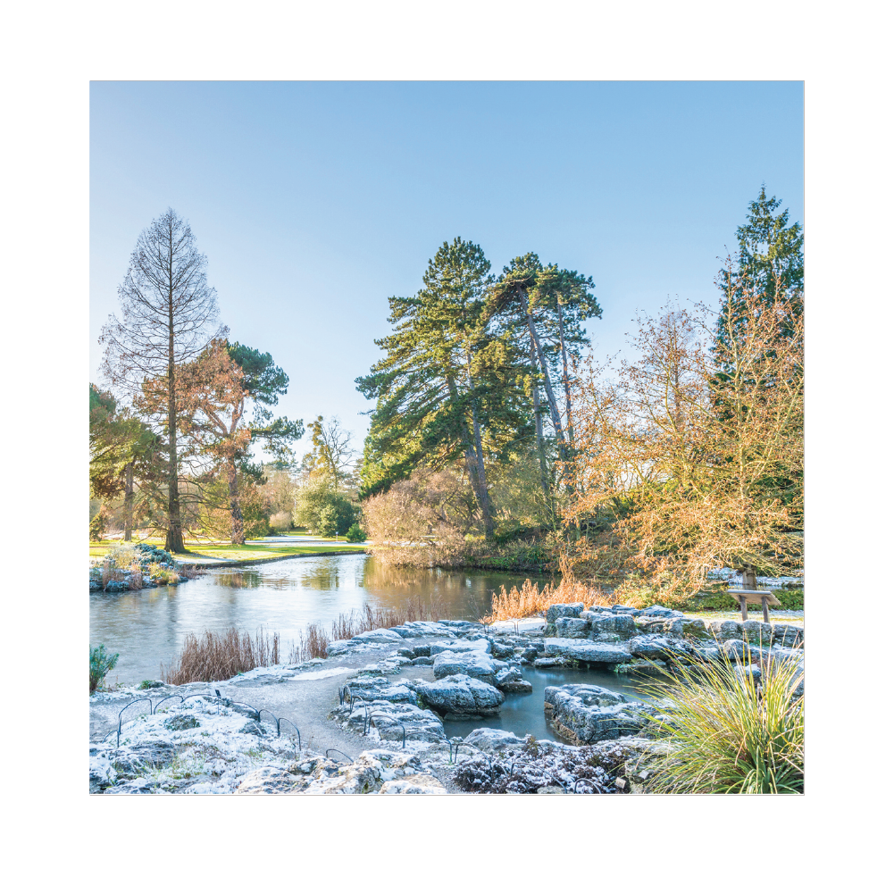 The Lake and Rock Garden with snow - Christmas card pack