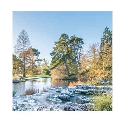 The Lake and Rock Garden with snow - Christmas card pack