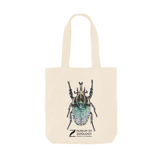 Beetle - Tote bag