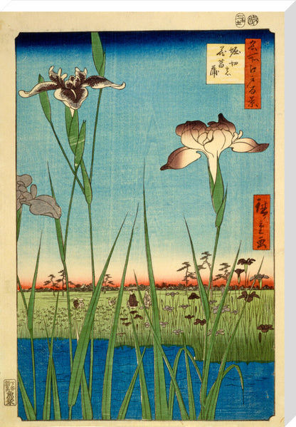 Iris Garden at Horikiri - Art print