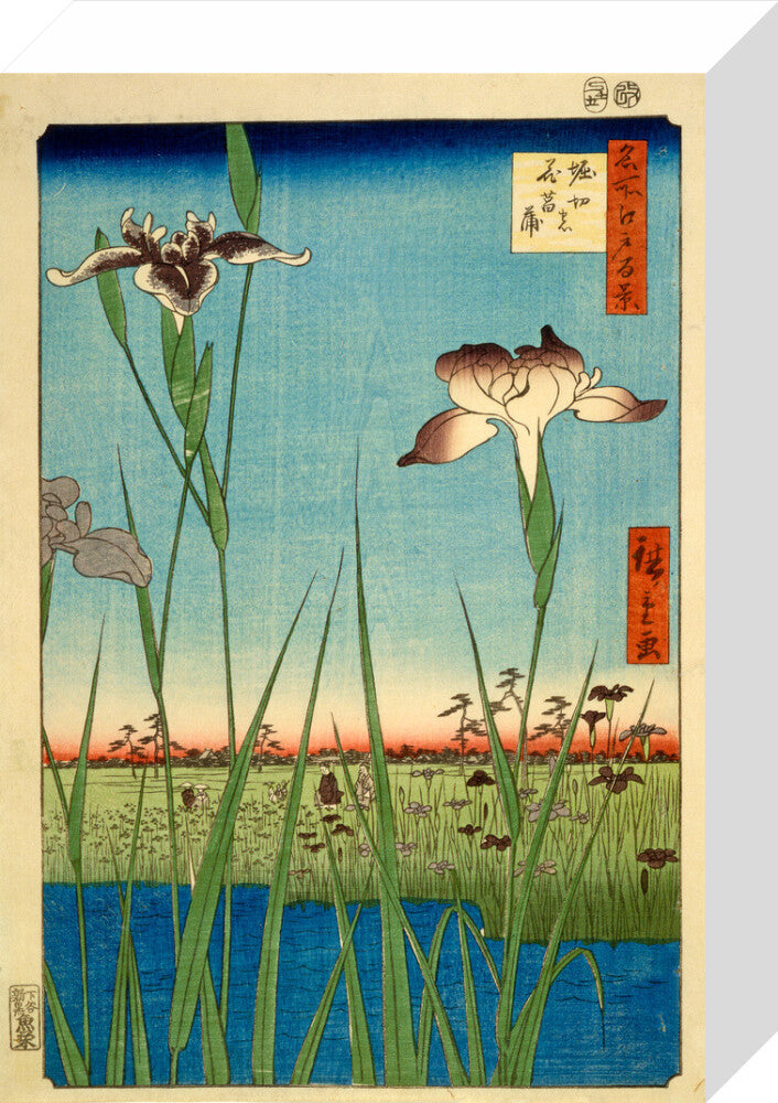 Iris Garden at Horikiri - Art print