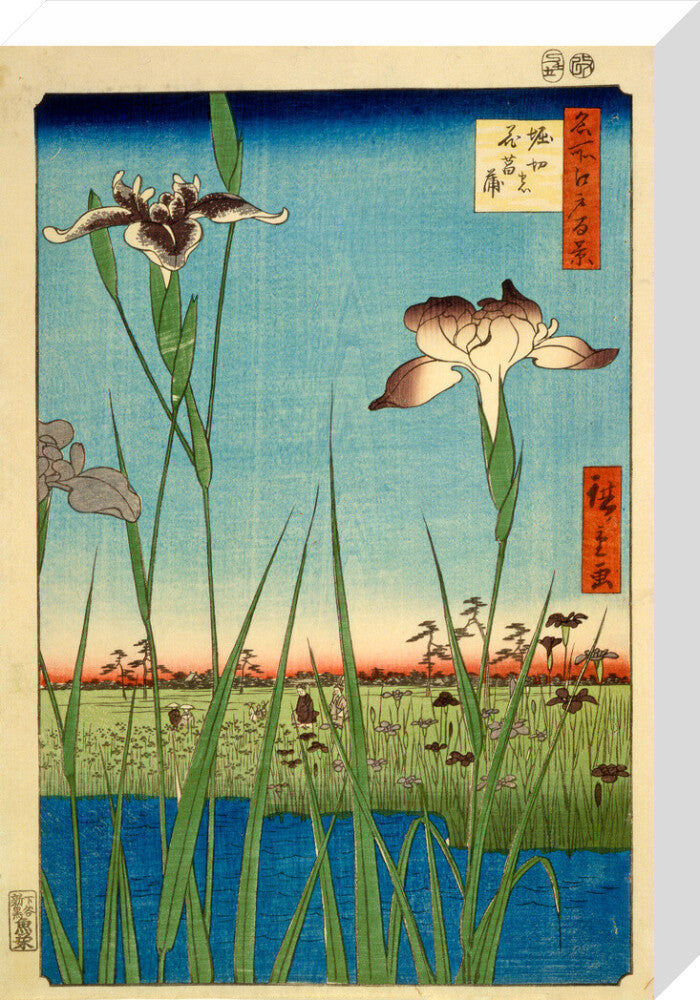 Iris Garden at Horikiri - Art print