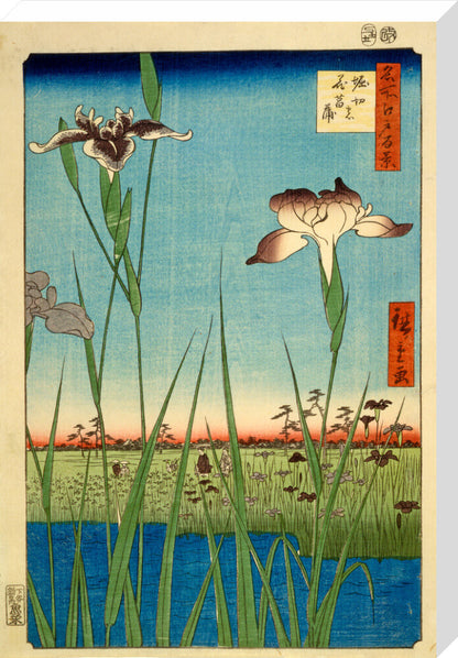 Iris Garden at Horikiri - Art print