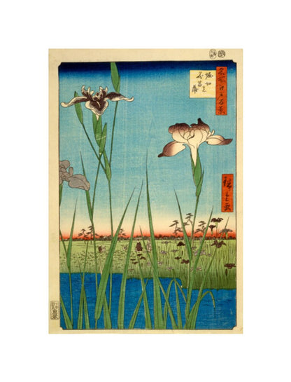 Iris Garden at Horikiri - Art print