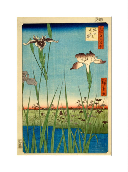 Iris Garden at Horikiri - Art print