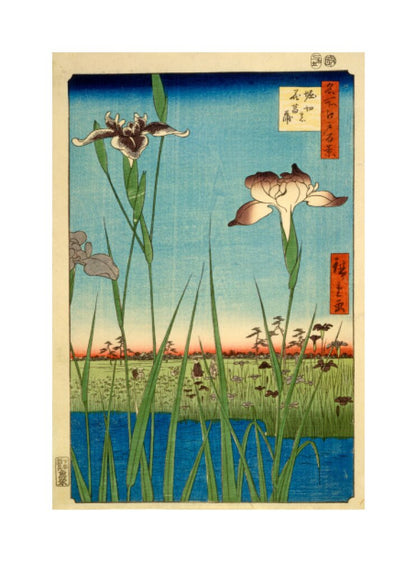 Iris Garden at Horikiri - Art print