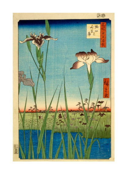 Iris Garden at Horikiri - Art print