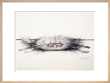 Cat of a Thousand Disguises Concealing Itself as a Rug - Art print