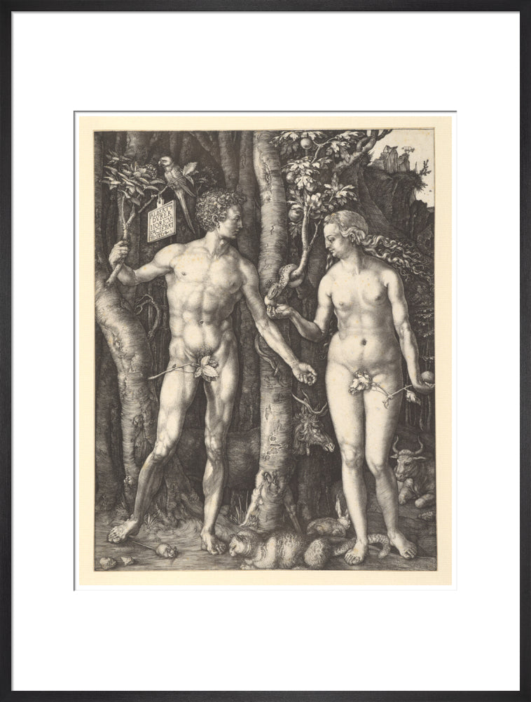 Adam and Eve - Art Print