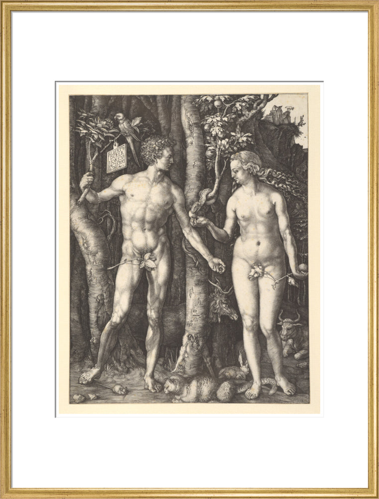 Adam and Eve - Art Print