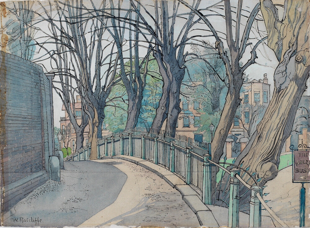 Mount Vernon, Hampstead