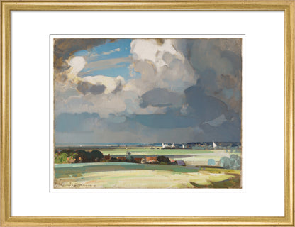 The Yacht Race (art print, medium, gold)