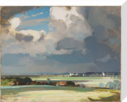 The Yacht Race (stretched canvas, medium, unframed)